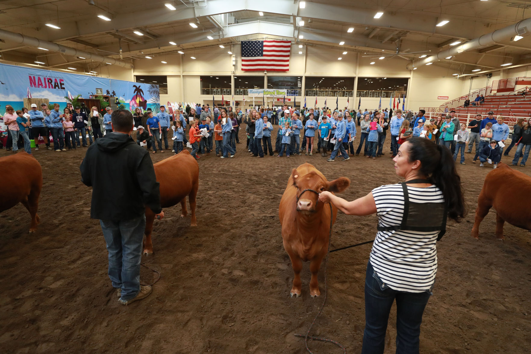 061819_RedAngusJudging21_bjs.JPG